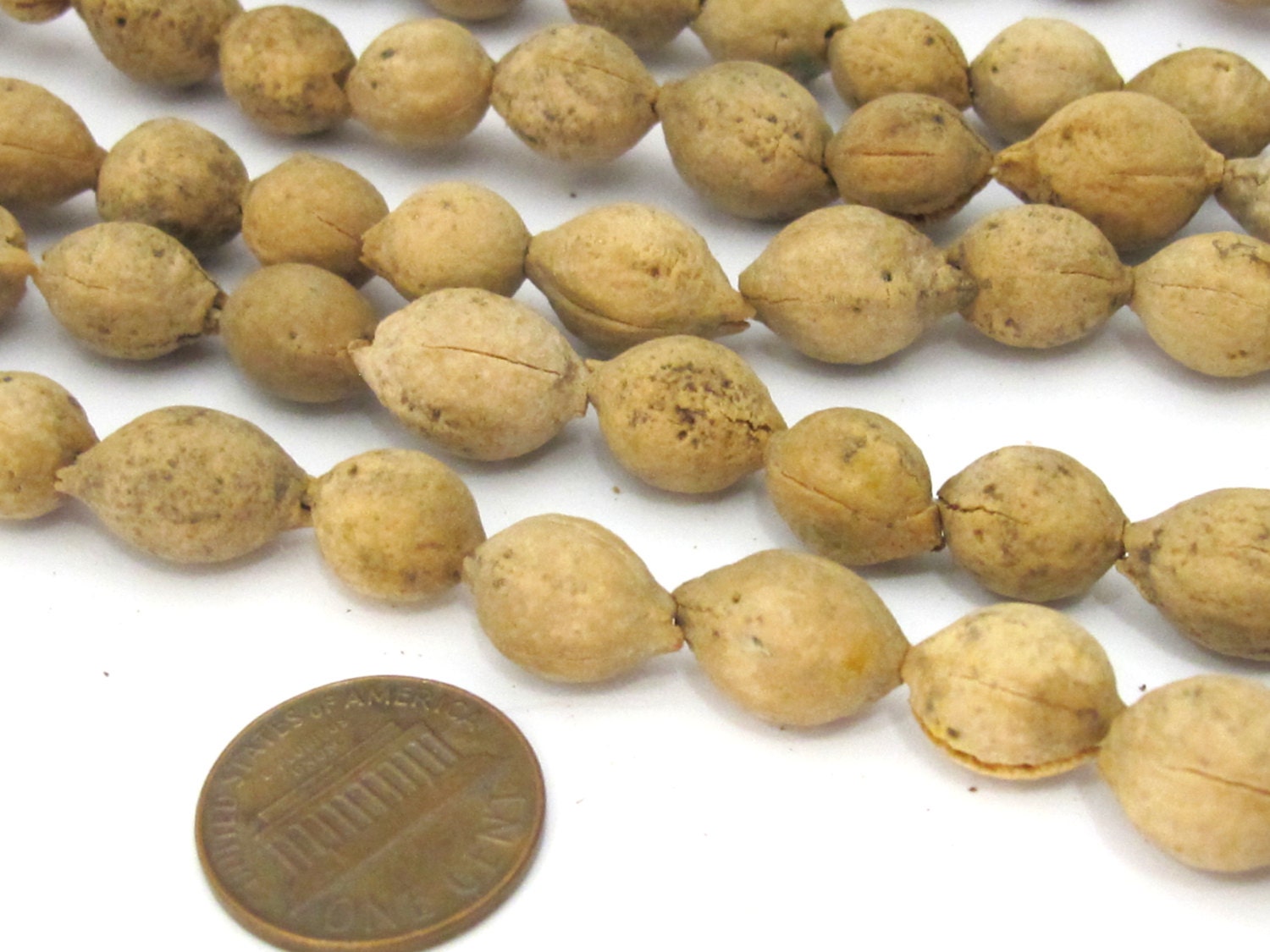 10 Beads - Natural putijia seed beads - ML053B