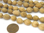 10 Beads - Natural putijia seed beads - ML053B