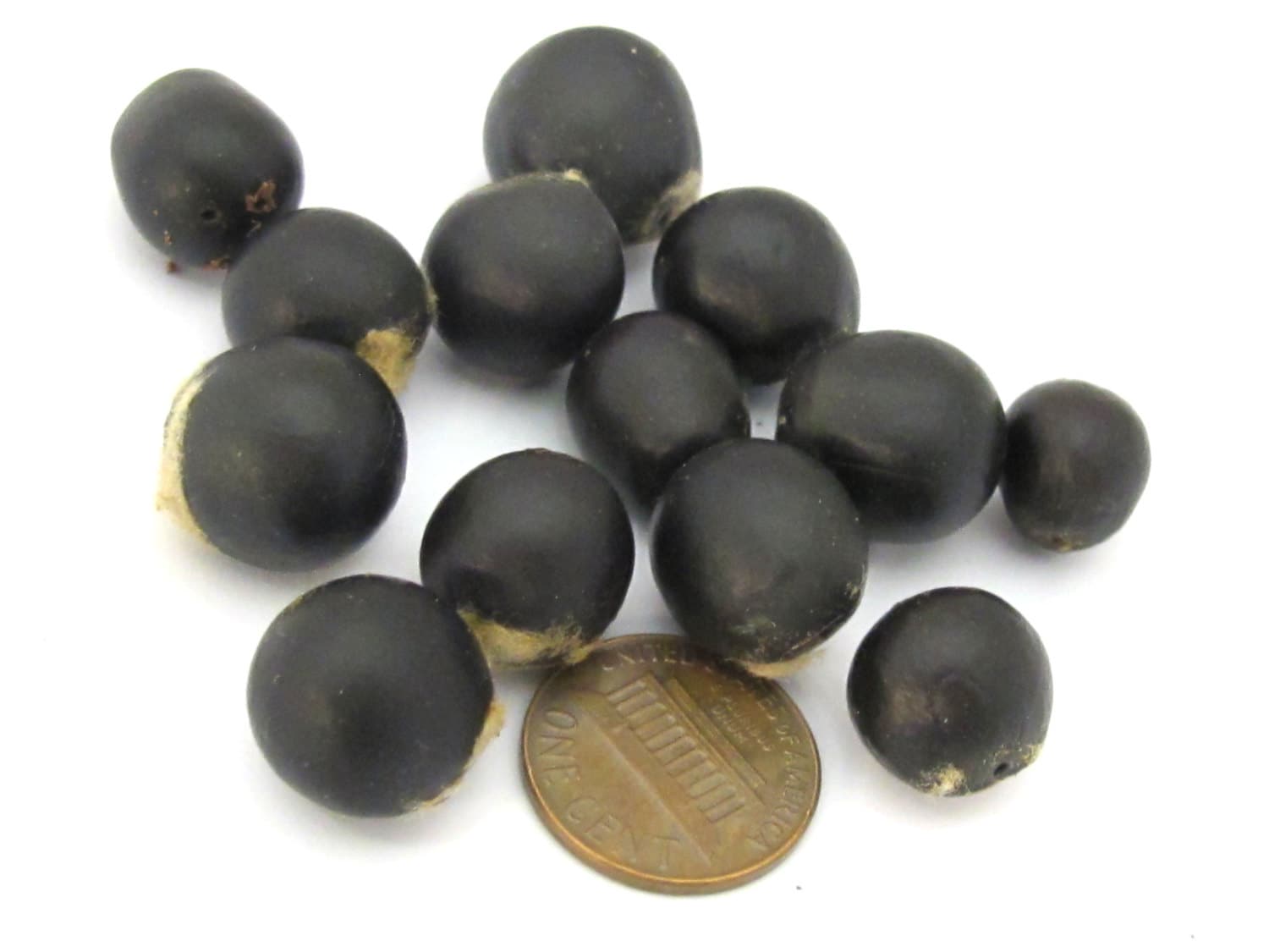 10 beads - Natural soapnut beads mala making supplies from Nepal - NB051