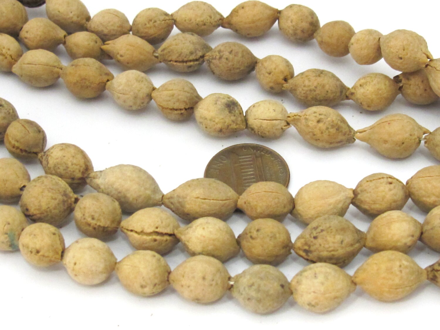 10 Beads - Natural putijia seed beads - ML053B