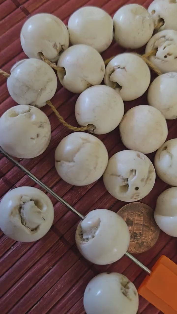 1 Bead - Ethnic tibetan Nepal natural naga conch shell chank beads 16 mm to 18 mm large focal beads  - CH047G