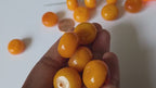 10 beads  - Tibetan Nepal beads 19-20 mm wide disc shape light weight Tibetan resin beads - BD536G
